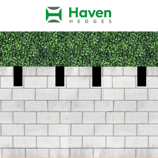 Haven Hedges Privacy System (4 Panel Package)