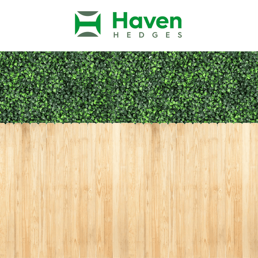 Haven Hedges Privacy System for Wood Fences (4 Panel Package)