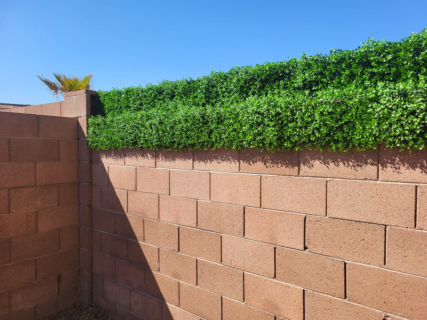 10 Inch Hedge Fence Extender [Haven Mini]