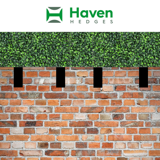 Haven Hedges Privacy System for Brick Fences (4 Panel Package)