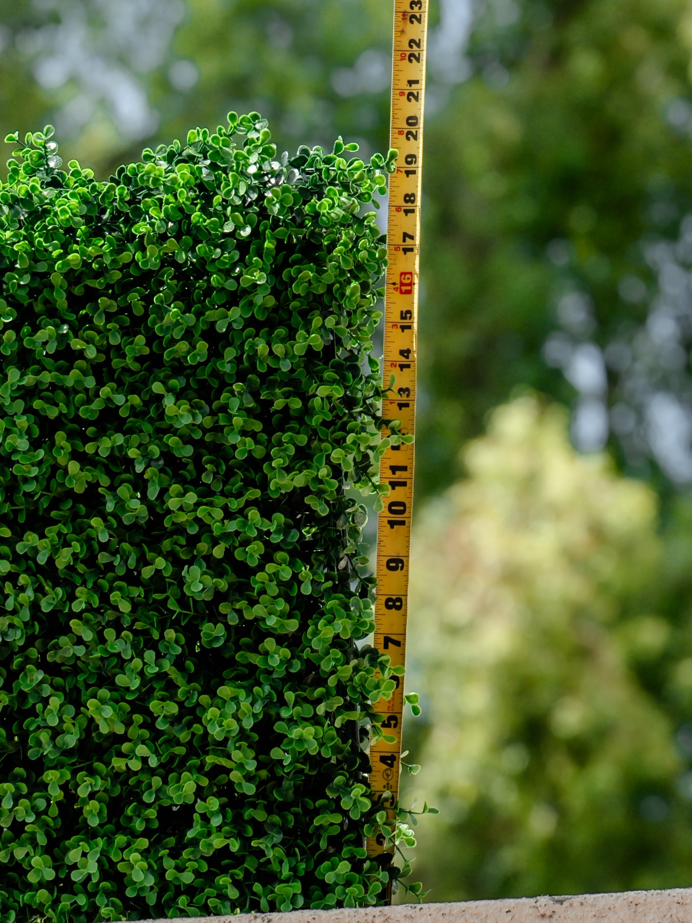 Haven Hedges Privacy System (4 Panel Package)